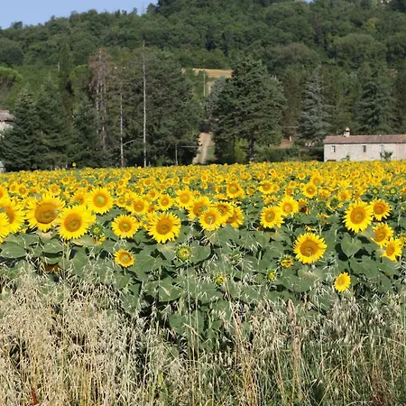 Cavagnetti Villa Pietralunga (Umbria)