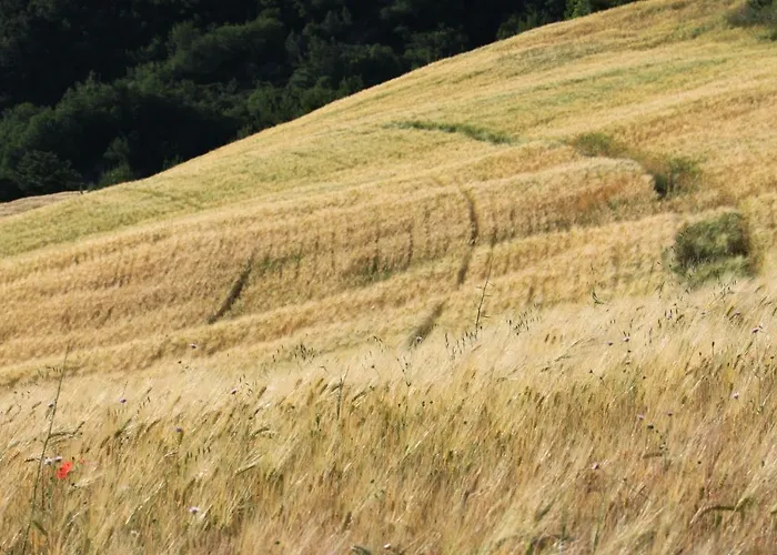 Cavagnetti بييترالونجا