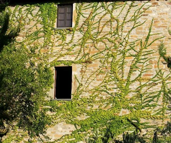 Cavagnetti * بييترالونجا