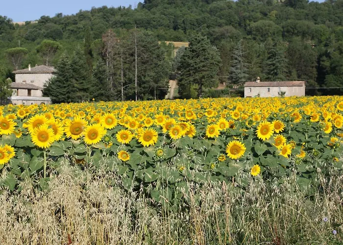 Cavagnetti Villa Pietralunga (Umbria)
